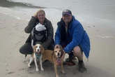 Glasgow beagle 'mauled to death' by Bullmastiff as owner's hand 'shattered' in attack