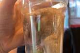 Pub-goers save hamster from certain death by scooping it up into pint glass