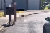 'Naked couple' spotted running in Wakefield streets as police launch search