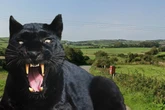 'Big cat' spotted in UK countryside as it 'stalks sheep' in front of holidaymakers