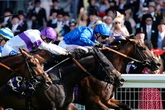 Champion jockey Oisin Murphy fined £70,000 after ploughing pal’s car into a tree while drunk