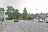 Man and his Labrador mauled by 'Bullies and Staffys' during simple dog walk
