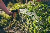 UK hosepipe ban warning as full list of what you can still do from July 10 revealed