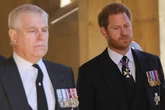 Prince Harry 'punched Prince Andrew in the face leaving him with bloody nose'
