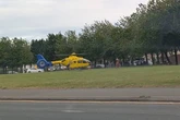 Little girl mauled by dog in street as neighbours throw bricks at beast during attack