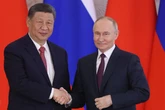 Russia's new top ally in Ukraine conflict is 'more important than China or Iran'