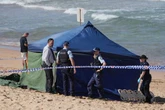 Great white shark kills surfer after he loses 'number of limbs' in horror attack