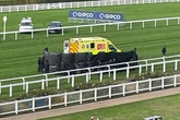 Horse dies and jockey taken to hospital after horrific Ascot fall as screens go up
