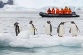 Put your animal knowledge to the test with this new quiz