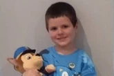 Mum of missing boy feared dead shows Gardai new burial spot where she is 'adamant' he is buried
