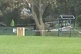 Man killed by falling tree branch as gusts in UK reach up to 78mph during weather warning