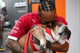 Lewis Hamilton issues latest heartbreaking health update on dog Roscoe after Ferrari withdrawal