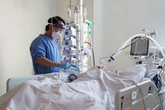 UK flu and pneumonia deaths now ten times those from Covid