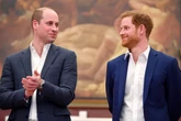 Prince Harry and William's heartbreaking decision over Princess Diana memorial guest list