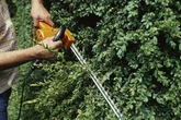 Gardeners issued seven rules to avoid neighbour disputes that could end up in court