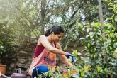 Gardeners need to do these 5 jobs in 'pivotal month' October