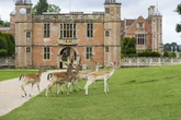 The 'fairy tale' National Trust park near Birmingham where 200 deer roam