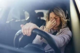 Drivers with dogs in car must obey 'three rules' or face £5,000 fine 'if caught'
