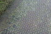 Drivers who have driveways urged to install 'substantial gate' as 'epidemic' hits UK