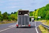 Drivers who have horseboxes risk 'immediate' £300 fines in DVSA crackdown