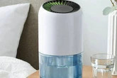 Dunelm dehumidifier that 'costs a few pence a day' drops to £9.56 with cashback offer