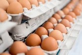 Alert issued for UK households buying cartons of eggs in October