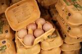 UK households who buy eggs at supermarket handed free £96 for one change