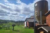 Pictures of Lizzie's Farm near Birmingham where Highland cows roam and 'fuss' is encouraged