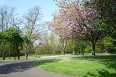 The award-winning park near Birmingham given £5m makeover - with cafe and games area