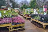 'Winter wonderland' garden centre in Birmingham suburb named among UK's best