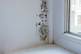 Exact temperature to stop mould growing in your home as energy prices set to rise