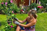 Gardener shares five ways she saves £300-a-year on plants