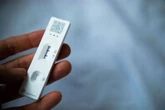 New Covid strain warning as UK health agency issues 'avoid contact' advice