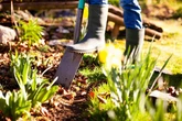 UK households with gardens 'a bit messy' face £5,000 fines after court case