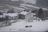 All the parts of UK facing 'two inch' snow with five counties covered