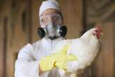 West Midlands bird flu case confirmed as patient taken to infectious disease unit