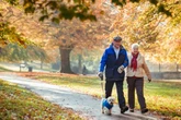 Dog owners in England warned to follow 48-hour walk rule 'until November'