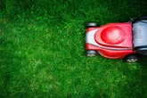 UK households mowing lawn for final time this year risk £5,000 fine this weekend