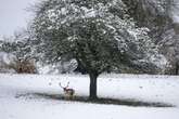 Met Office and BBC Weather have say over '168 hours of snow' hitting England