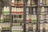 Tesco, Sainsbury's, Morrisons shoppers putting milk in their basket 'warned'