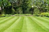 Gardeners urged to mow their lawns now - or risk missing out on an essential rule