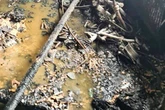 Family forced to flee through window after e-bike battery explodes in house fire
