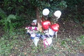 Young mum-to-be named after Midland car crash leaves her dead