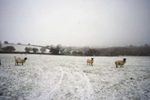 All the parts of UK at risk of 169-mile snow with seven counties impacted