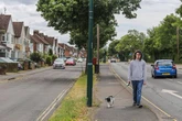 Residents' lives 'ruined by choking flies' that are 'swarming babies in cots'