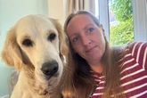 Midland dog who keeps having to be rescued due to friendly habit