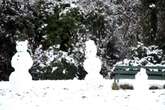 UK on course for 'horror' snow storm with up to 20cm falling next week