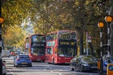 Drivers face £1,000 fine through letterbox after 'forgetting' autumn rule