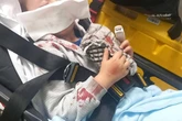 Boy, 4, left with 'horror film-like' injuries after being attacked by dog at pal's house