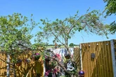 Midland village up in arms over bulldozing gardens - including one linked to Gardeners' World legend